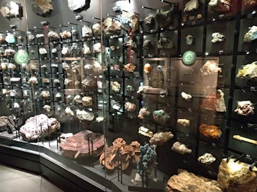 国立科学博物館に投稿された画像（2023/10/30）