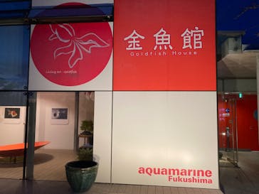 環境水族館アクアマリンふくしまに投稿された画像（2023/10/30）