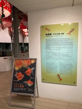 環境水族館アクアマリンふくしまに投稿された画像（2023/10/30）