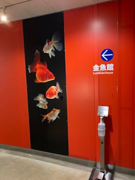 環境水族館アクアマリンふくしまに投稿された画像（2023/10/30）