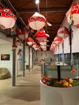 環境水族館アクアマリンふくしまに投稿された画像（2023/10/30）