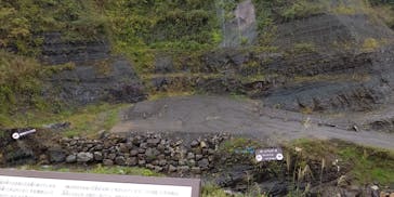 福井県立恐竜博物館に投稿された画像（2023/10/30）