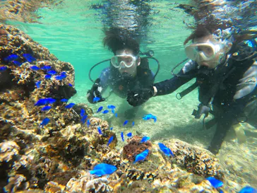 武藤潜水に投稿された画像（2023/10/30）