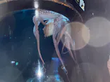 サンシャイン水族館に投稿された画像（2023/10/30）