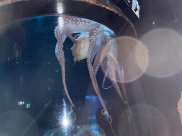 サンシャイン水族館に投稿された画像（2023/10/30）