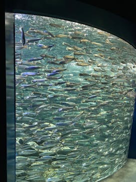 サンシャイン水族館に投稿された画像（2023/10/30）