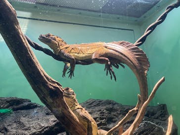 サンシャイン水族館に投稿された画像（2023/10/30）