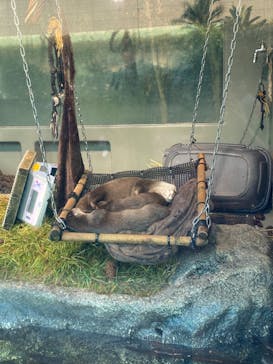 サンシャイン水族館に投稿された画像（2023/10/30）