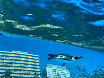 サンシャイン水族館に投稿された画像（2023/10/30）