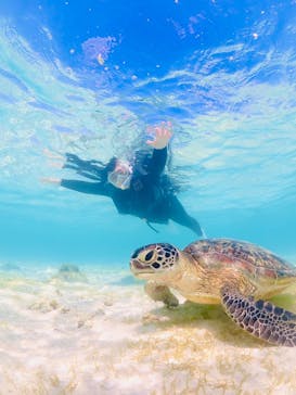 宮古島マリン GB QUESTに投稿された画像（2023/10/30）