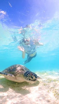 宮古島マリン GB QUESTに投稿された画像（2023/10/30）