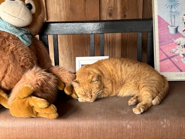 東武動物公園に投稿された画像（2023/10/30）