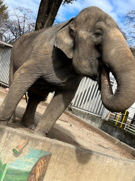 東武動物公園に投稿された画像（2023/10/30）