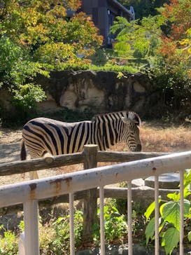 名古屋市東山動植物園に投稿された画像（2023/10/30）
