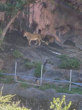 名古屋市東山動植物園に投稿された画像（2023/10/30）