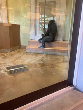 名古屋市東山動植物園に投稿された画像（2023/10/30）