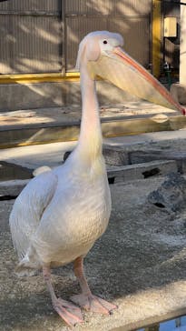 東武動物公園に投稿された画像（2023/10/30）