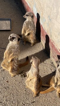 東武動物公園に投稿された画像（2023/10/30）
