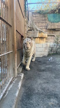 東武動物公園に投稿された画像（2023/10/30）