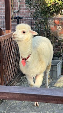 東武動物公園に投稿された画像（2023/10/30）