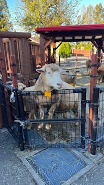 東武動物公園に投稿された画像（2023/10/30）