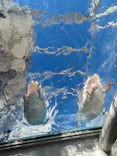サンシャイン水族館に投稿された画像（2023/10/30）