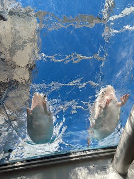 サンシャイン水族館に投稿された画像（2023/10/30）