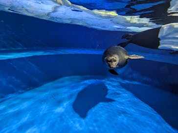 サンシャイン水族館に投稿された画像（2023/10/30）