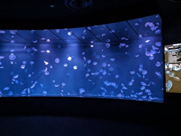 サンシャイン水族館に投稿された画像（2023/10/30）