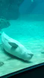名古屋港水族館に投稿された画像（2023/10/30）