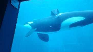 名古屋港水族館に投稿された画像（2023/10/30）