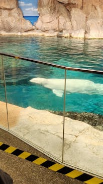 名古屋港水族館に投稿された画像（2023/10/30）