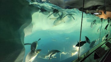 名古屋港水族館に投稿された画像（2023/10/30）