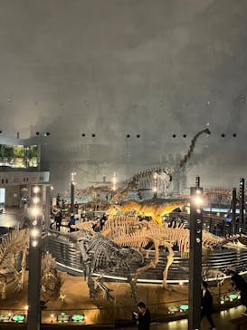 福井県立恐竜博物館に投稿された画像（2023/10/30）