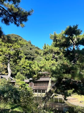 三溪園に投稿された画像（2023/10/30）