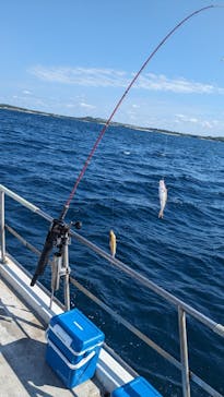 釣り船　博栄丸に投稿された画像（2023/10/30）