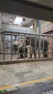 名古屋市東山動植物園に投稿された画像（2023/10/30）