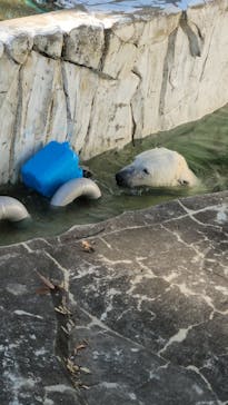 名古屋市東山動植物園に投稿された画像（2023/10/30）