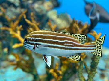 登別マリンパークニクスに投稿された画像（2023/10/30）