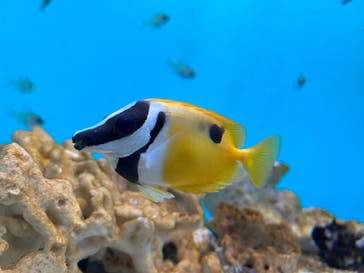 登別マリンパークニクスに投稿された画像（2023/10/30）