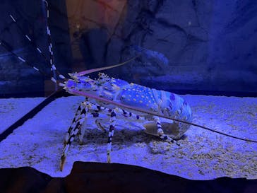 登別マリンパークニクスに投稿された画像（2023/10/30）