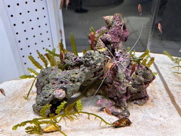 AOAO SAPPOROに投稿された画像（2023/10/30）