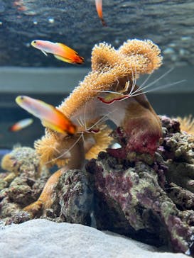 AOAO SAPPOROに投稿された画像（2023/10/30）