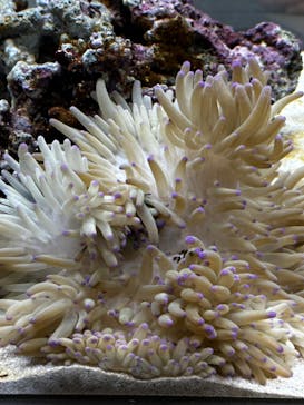 AOAO SAPPOROに投稿された画像（2023/10/30）