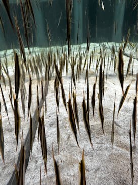 AOAO SAPPOROに投稿された画像（2023/10/30）