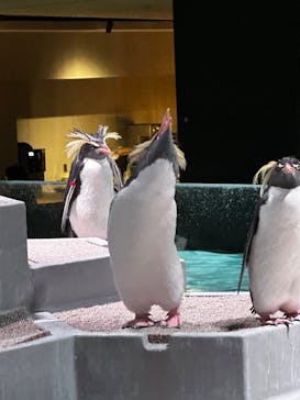 AOAO SAPPOROに投稿された画像（2023/10/30）