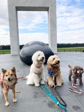 ノーザンホースパークに投稿された画像（2023/10/30）