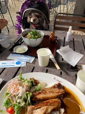 ノーザンホースパークに投稿された画像（2023/10/30）