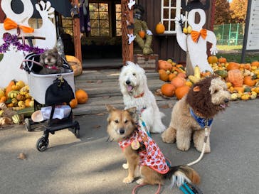 ノーザンホースパークに投稿された画像（2023/10/30）