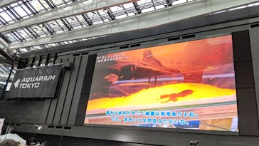 アクアリウム東京に投稿された画像（2023/10/30）